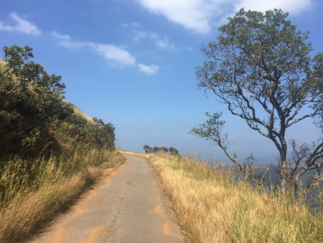 Photo of Chikmagalur & Gokarna- Ideas are no one's monopoly, but to execute the idea is a monopoly. 9/19 by Mohal Banker