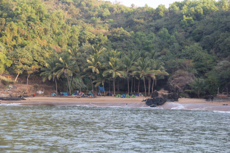 Photo of Chikmagalur & Gokarna- Ideas are no one's monopoly, but to execute the idea is a monopoly. by Mohal Banker