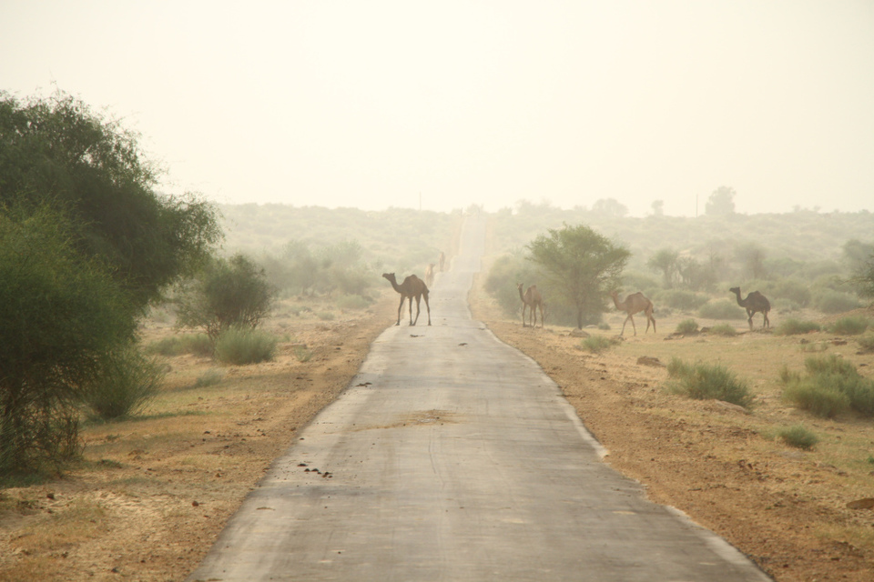 Photo of Jaisalmer- small things matter a lot! 18/21 by Mohal Banker