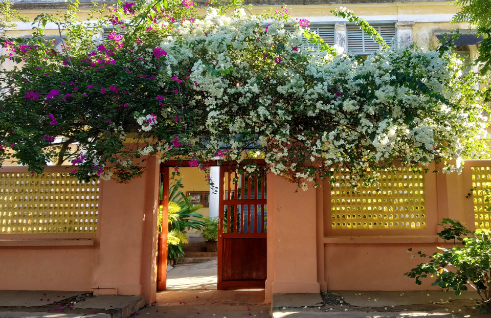 Photo of Pondicherry : All you need to know 3/24 by Shradha Palni
