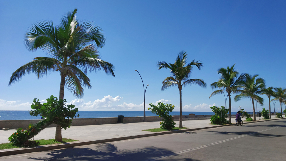 Photo of Pondicherry : All you need to know 4/24 by Shradha Palni
