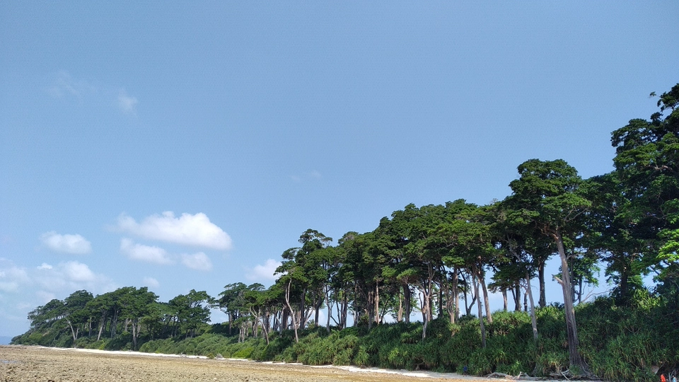 Photo of Laxmanpur Beach No 1, Village Road, Lakshmanpur, Andaman and Nicobar Islands, India by Shradha Palni