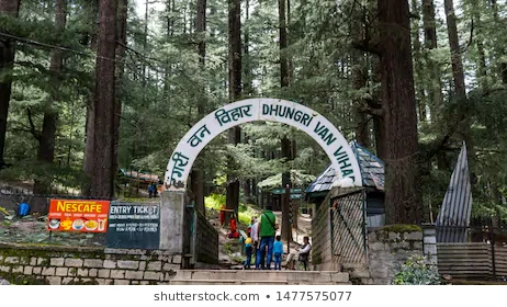 Photo of Dhungri Van Vihar, the place where demon goddess Hidimba devi used to take bath by Avijit Paul