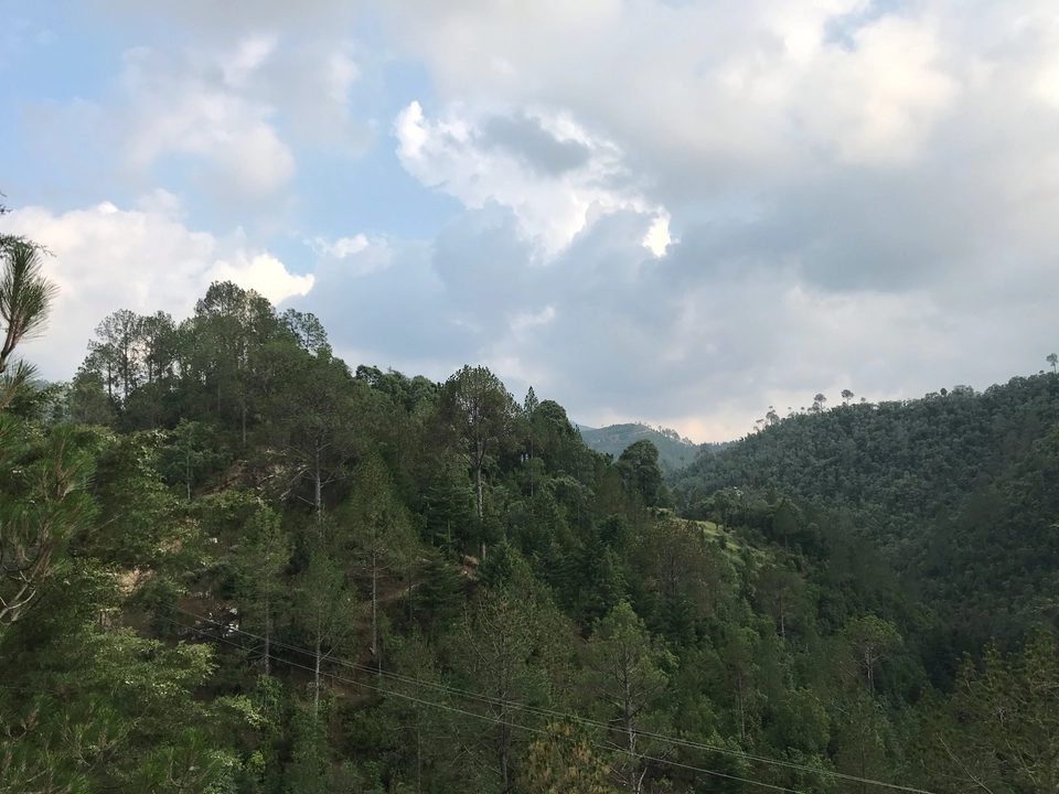 Photo of South Gola Range by Hritik Dhingra 