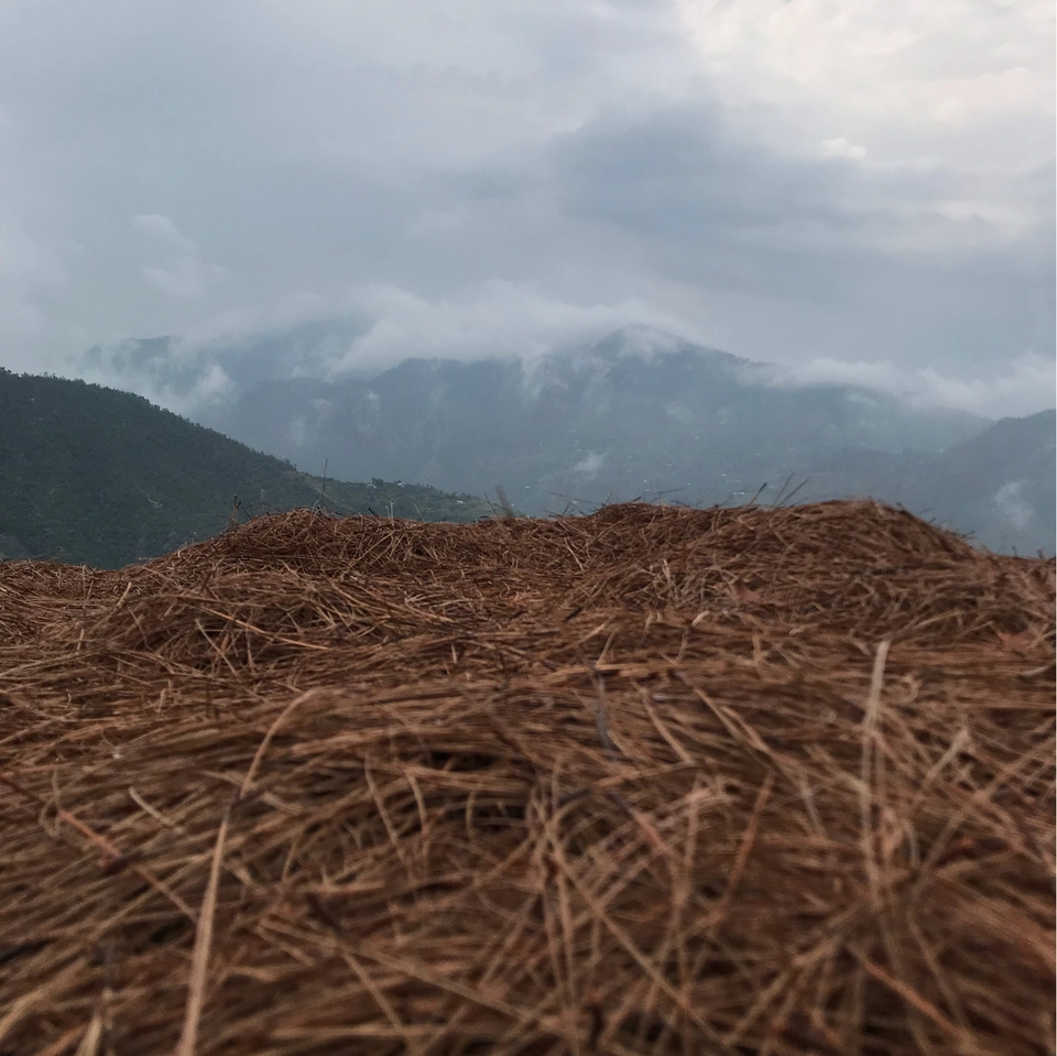 Photo of South Gola Range by Hritik Dhingra 
