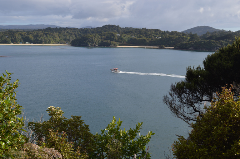 Photo of Stewart Island, Southland, New Zealand by Mithila Holla