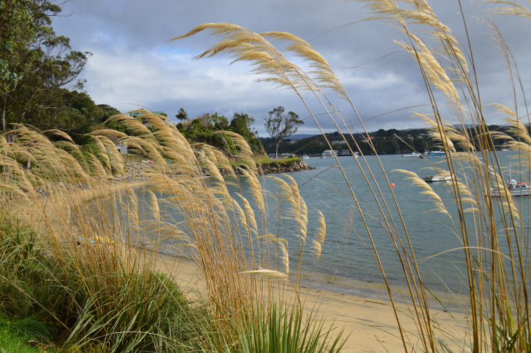 Photo of Stewart Island, Southland, New Zealand by Mithila Holla