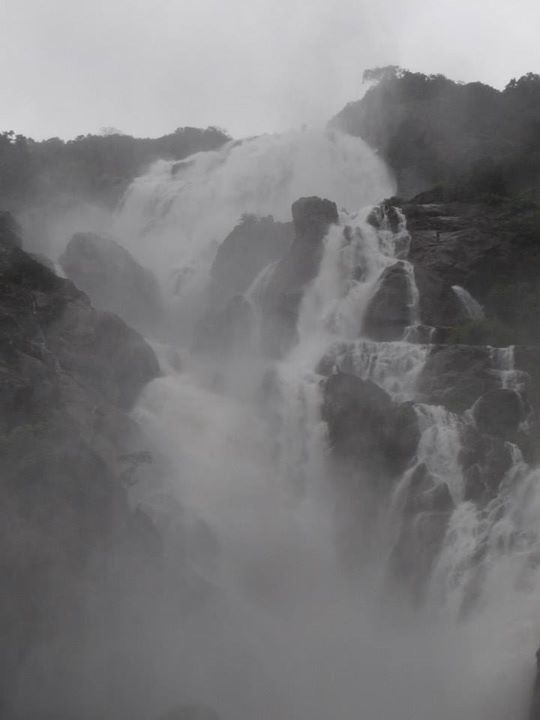 Photo of Goa baby!!! by Priya Shriyan