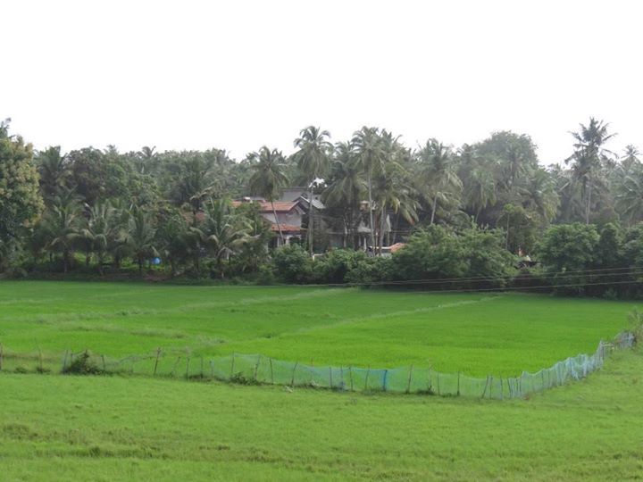 Photo of Goa baby!!! by Priya Shriyan