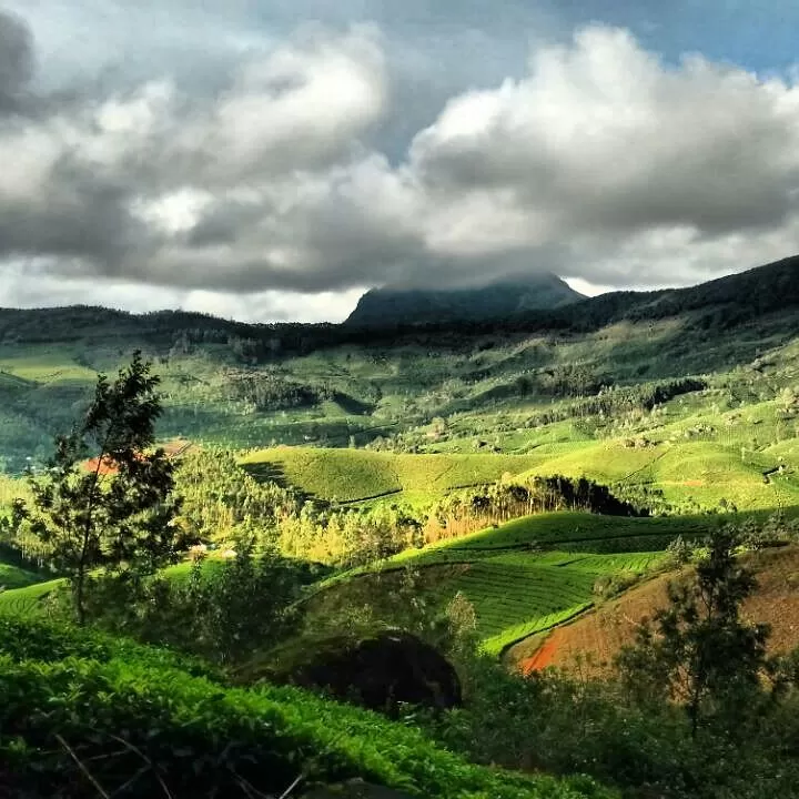 Photo of Munnar, Kerala, Inde by Chandni