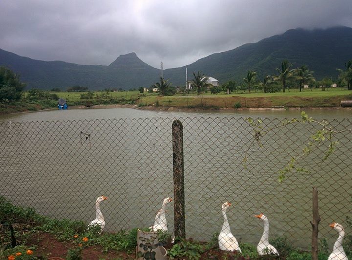 Photo of Hadashi – Nature at its best 2/15 by Neha Ninad