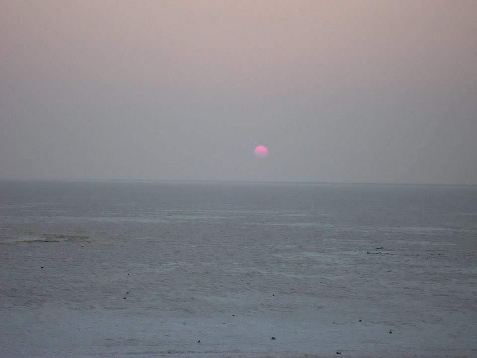 Photo of Rann-the Salt Desert 3/11 by anshu