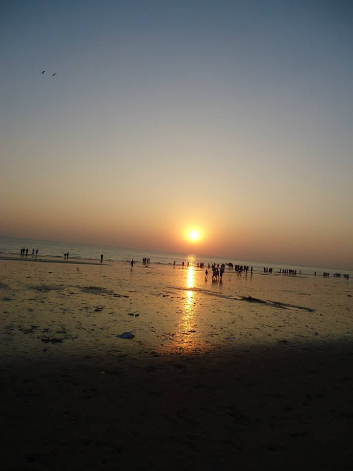 Photo of Rann-the Salt Desert 7/11 by anshu