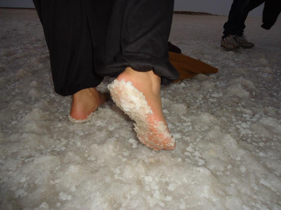 Photo of Rann-the Salt Desert 2/11 by anshu