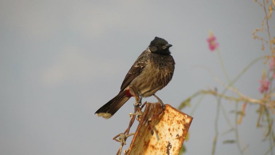 Photo of Chillout weekend at Terra by Kalyani Phadke