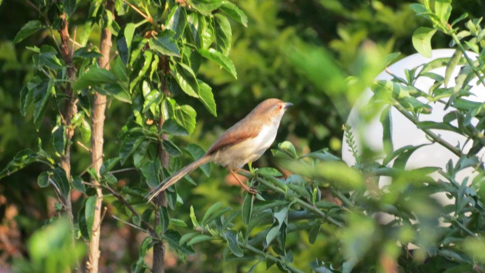 Photo of Chillout weekend at Terra by Kalyani Phadke