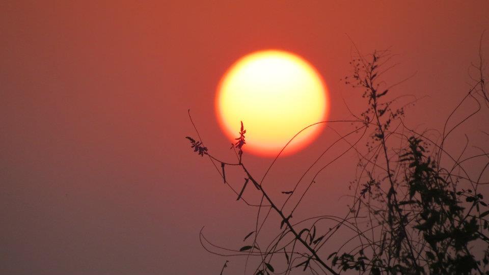 Photo of Chillout weekend at Terra by Kalyani Phadke