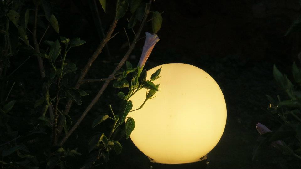 Photo of Chillout weekend at Terra by Kalyani Phadke