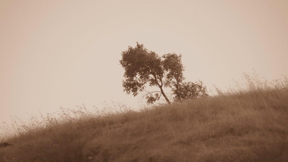 Photo of Chillout weekend at Terra by Kalyani Phadke