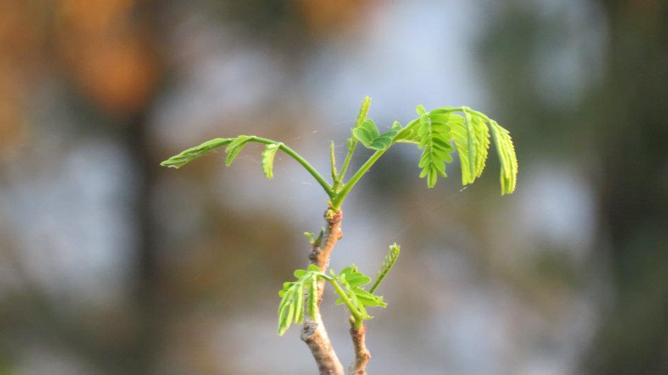 Photo of Chillout weekend at Terra by Kalyani Phadke
