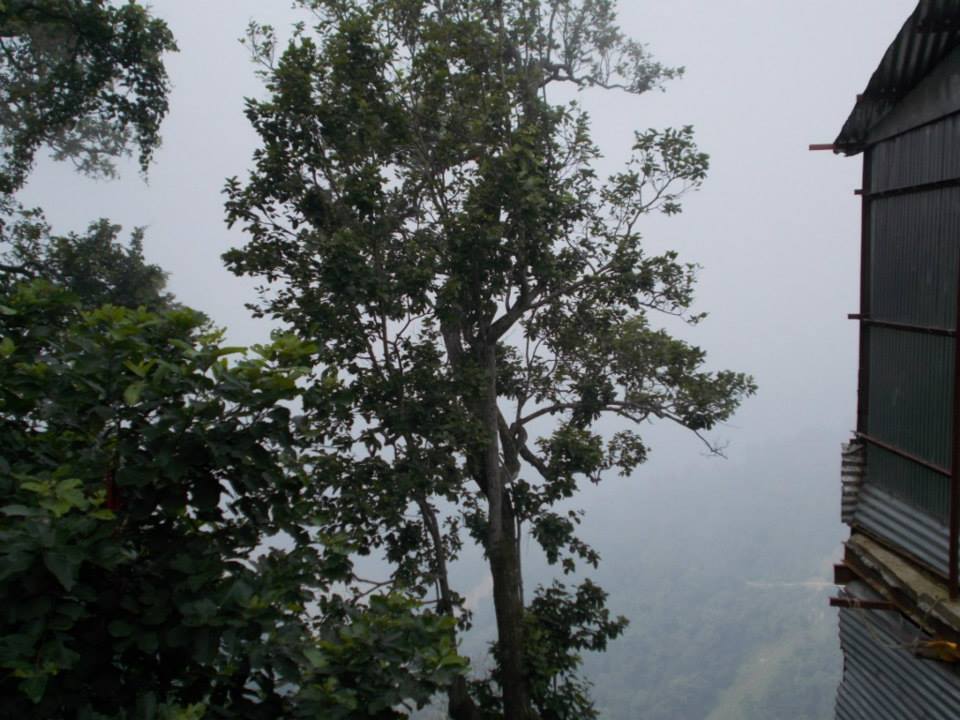 Photo of Trip to beat the heat - I (Amazing Uttarakhand) 20/24 by Mayank Pandeyz (with floating shoes)