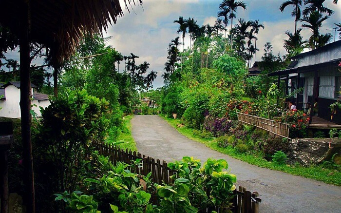 Photo of 8 Days Into The Deep Woods Of Meghalaya by Snigdha Jaiswal