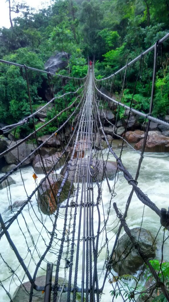 Photo of 8 Days Into The Deep Woods Of Meghalaya by Snigdha Jaiswal