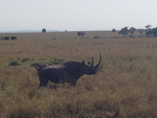Photo of honeymooner safaris by clevers