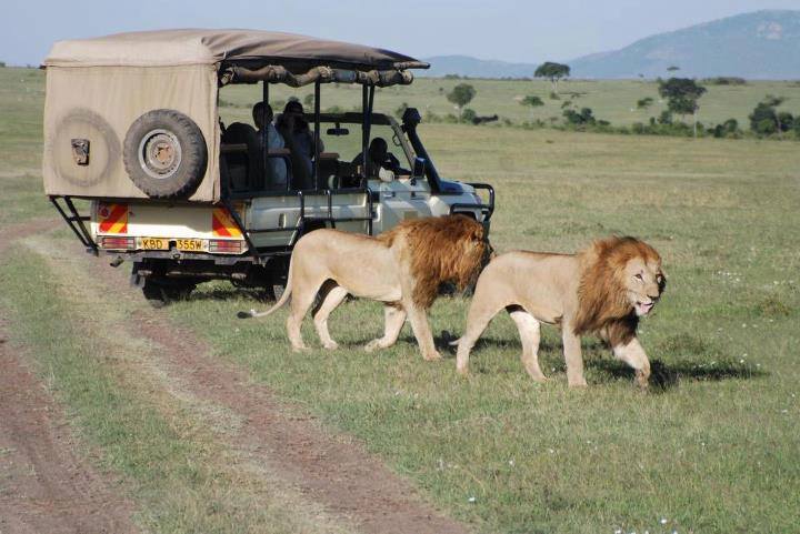 Photo of honeymooner safaris by clevers