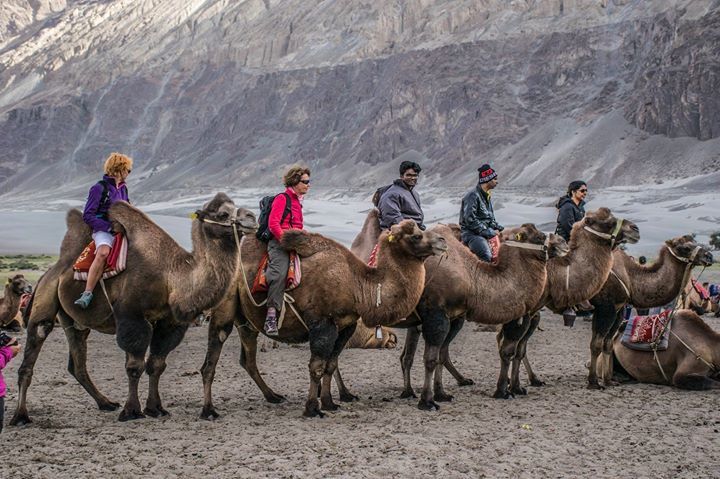 Photo of Nubra Valley, Leh by Pavel Ray