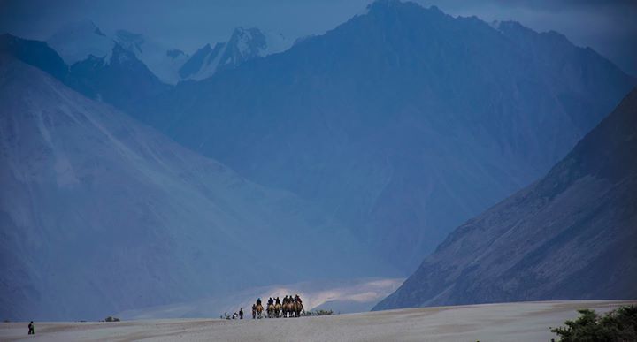Photo of Nubra Valley, Leh by Pavel Ray