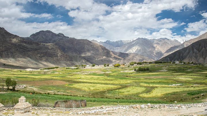 Photo of Nubra Valley by Pavel Ray