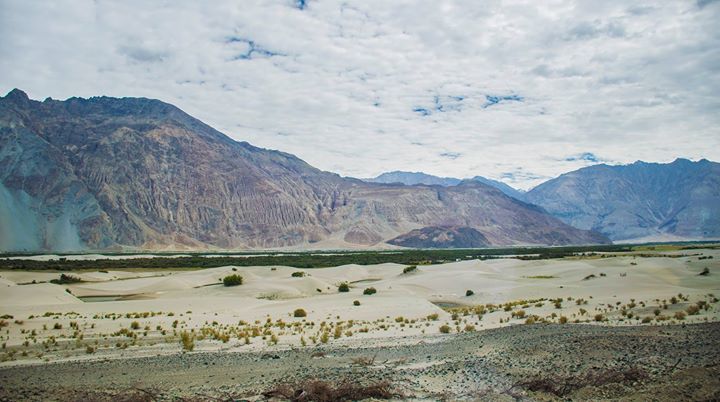 Photo of Nubra Valley by Pavel Ray