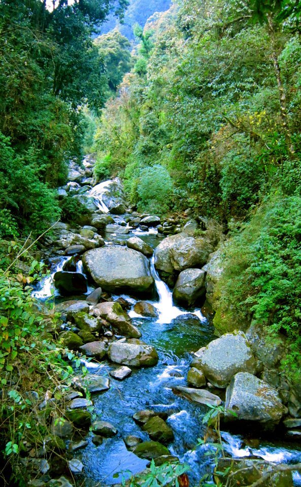 Photo of Journey to the unspoken Lands 16/17 by Aniket Chattopadhyay