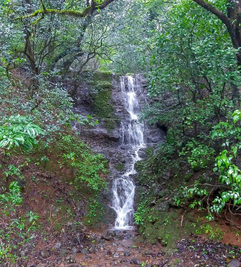 Photo of A trek to Ghan...Ghangad! 1/14 by Rushikesh