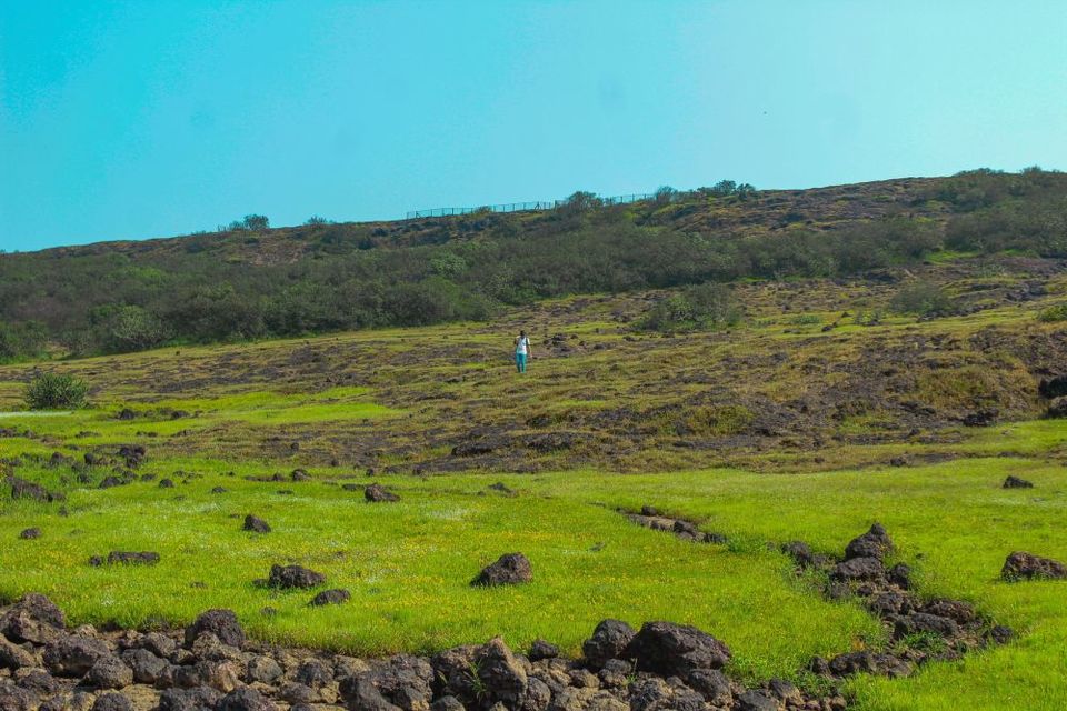 Photo of Maharashtra's Paradise of Flowers- Kaas #BucketList2019 by Bhataku's Travel Tales
