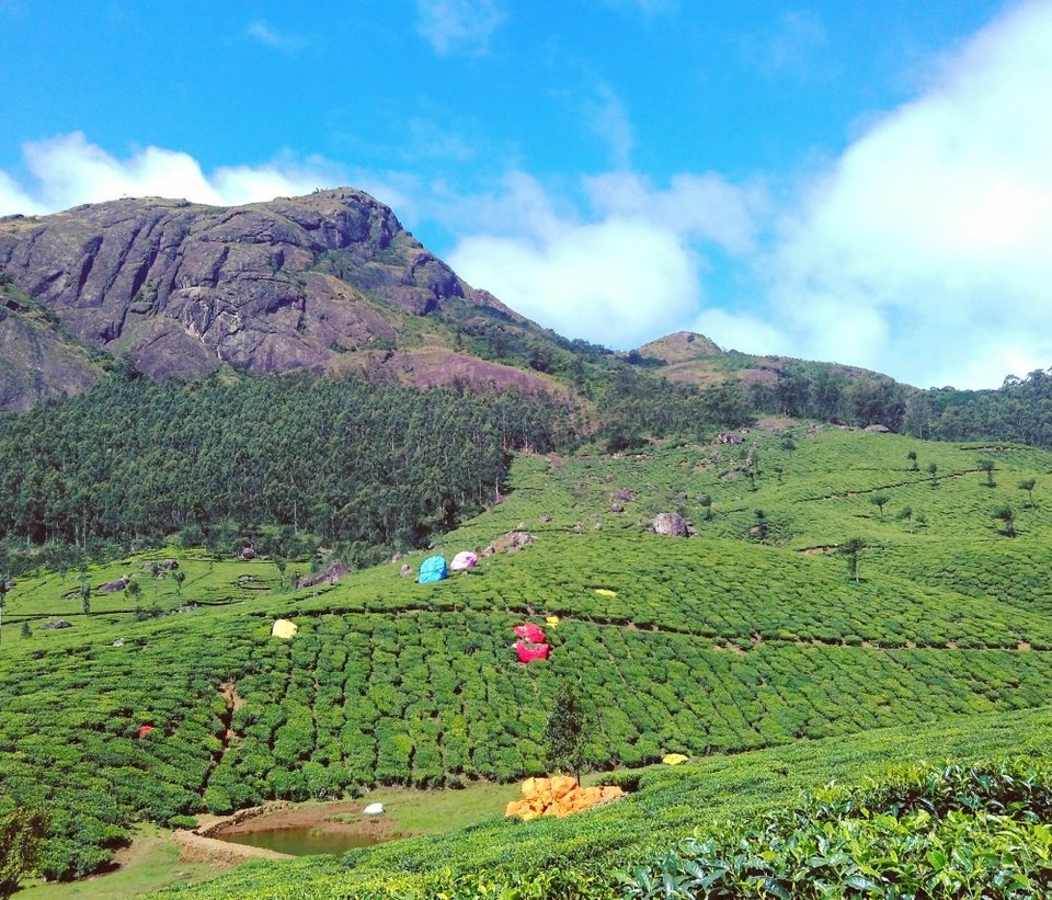 Photo of Ms lazy boots in Kerala 1/12 by Hasti Raval
