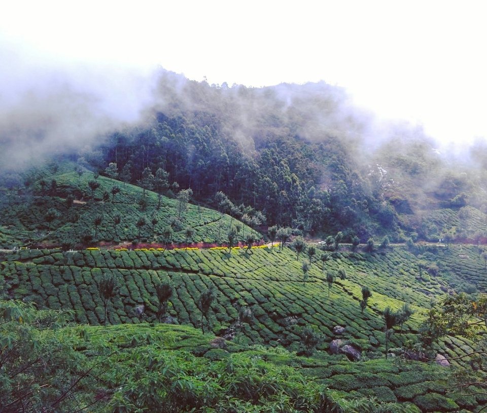 Photo of Ms lazy boots in Kerala 4/12 by Hasti Raval