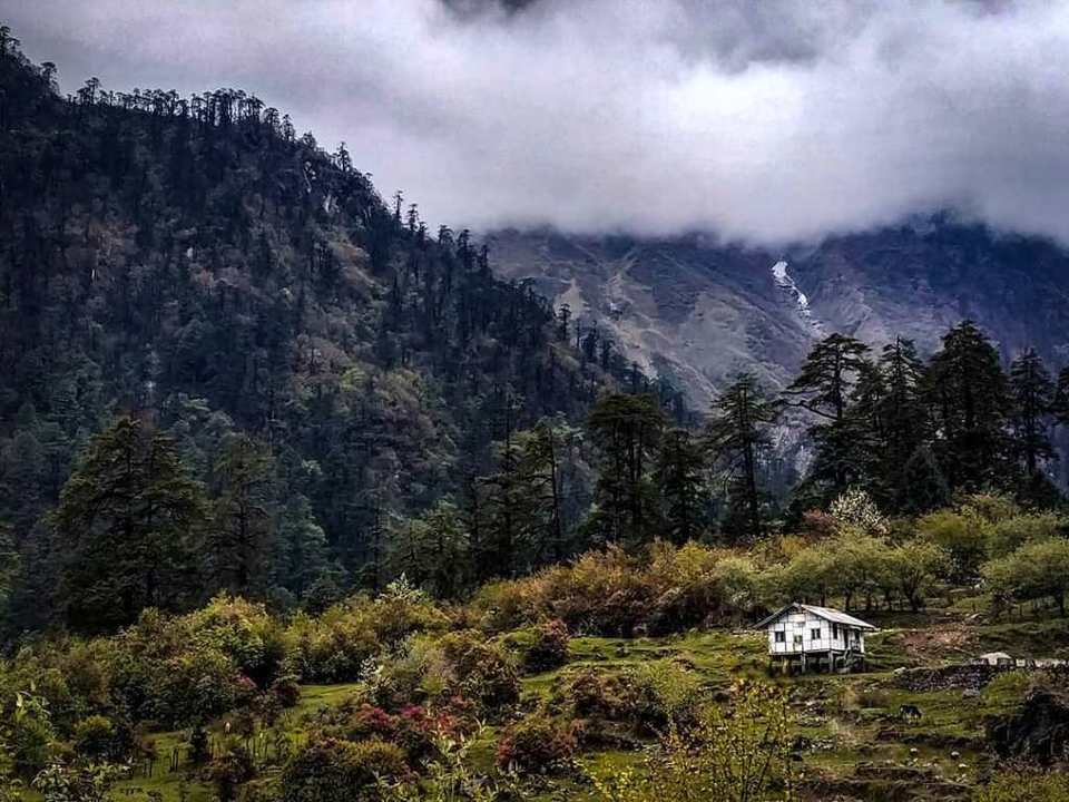 Photo of 9 Memorable Things to Do in This Brother State of North East India! 7/15 by Aashna Dhiman