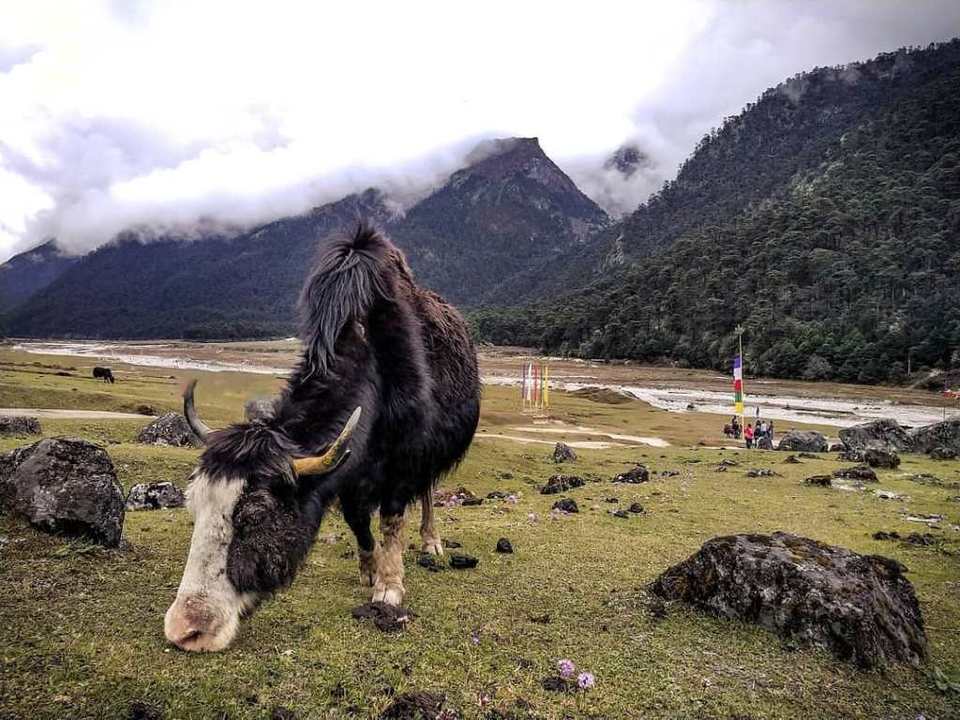 Photo of 9 Memorable Things to Do in This Brother State of North East India! 9/15 by Aashna Dhiman