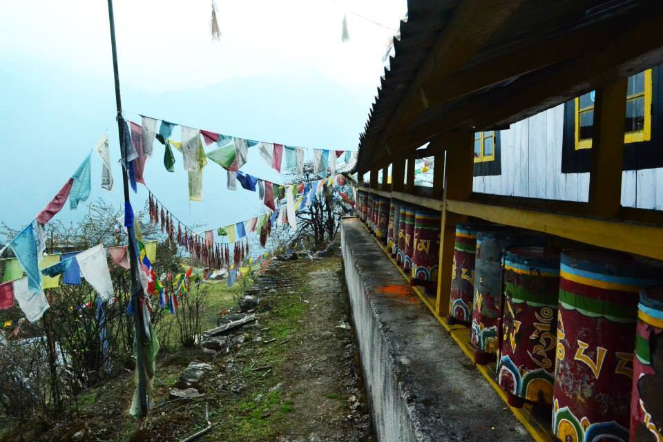 Photo of Dzongri Trek 4/10 by Vaisakh