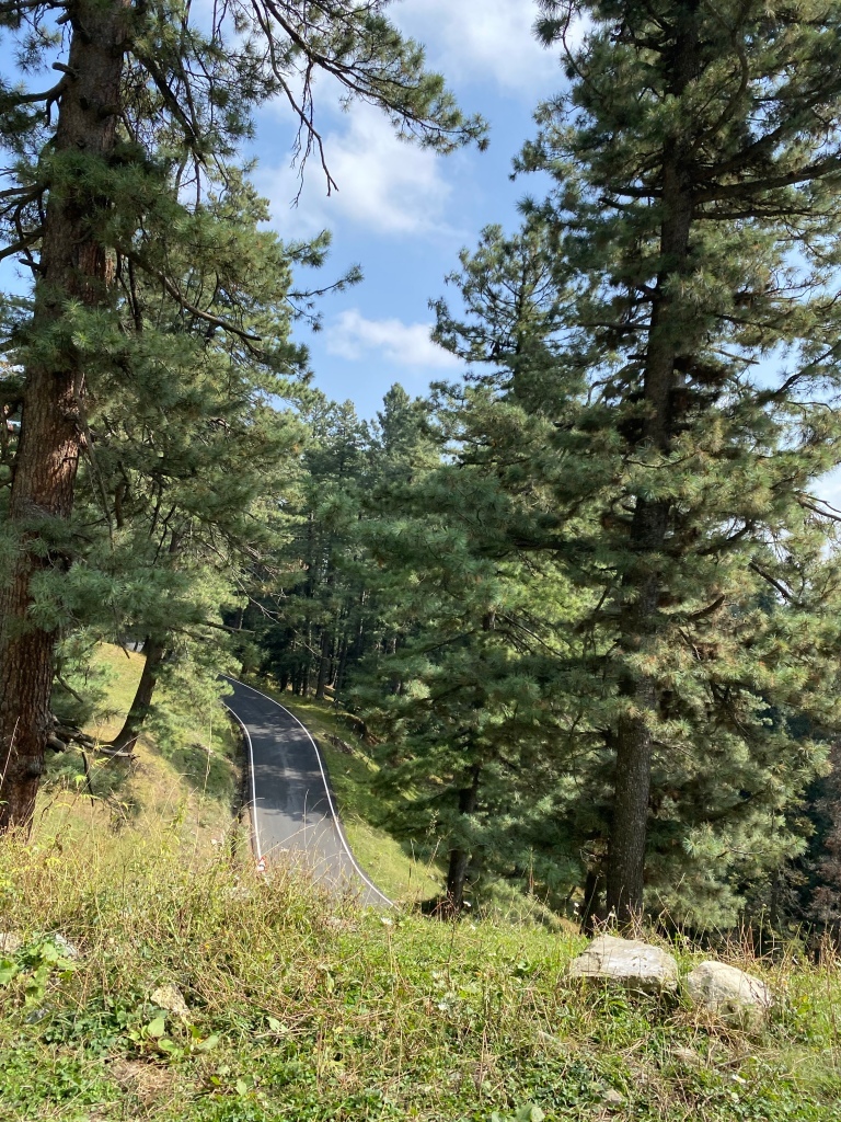 Photo of Srinagar to Gulmarg - A day trip itinerary by Geetha Ranganathan
