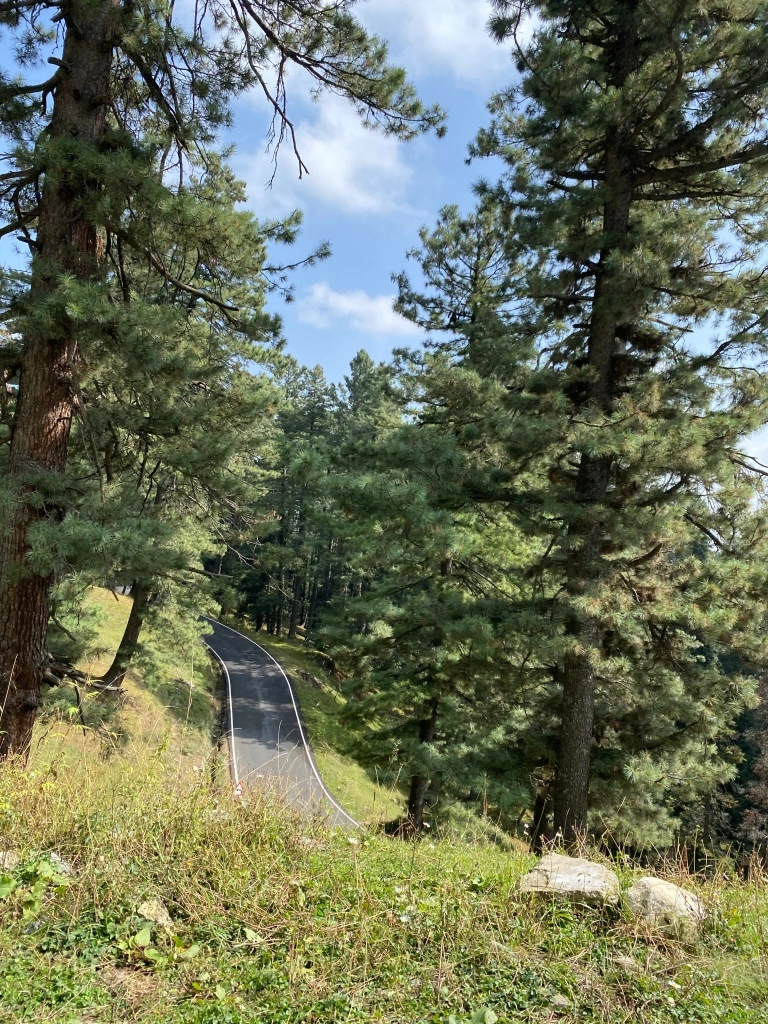 Photo of Srinagar to Gulmarg - A day trip itinerary by Geetha Ranganathan