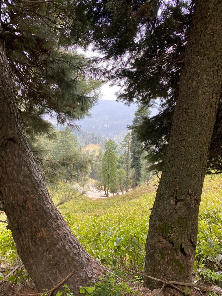 Photo of Gulmarg by Geetha Ranganathan