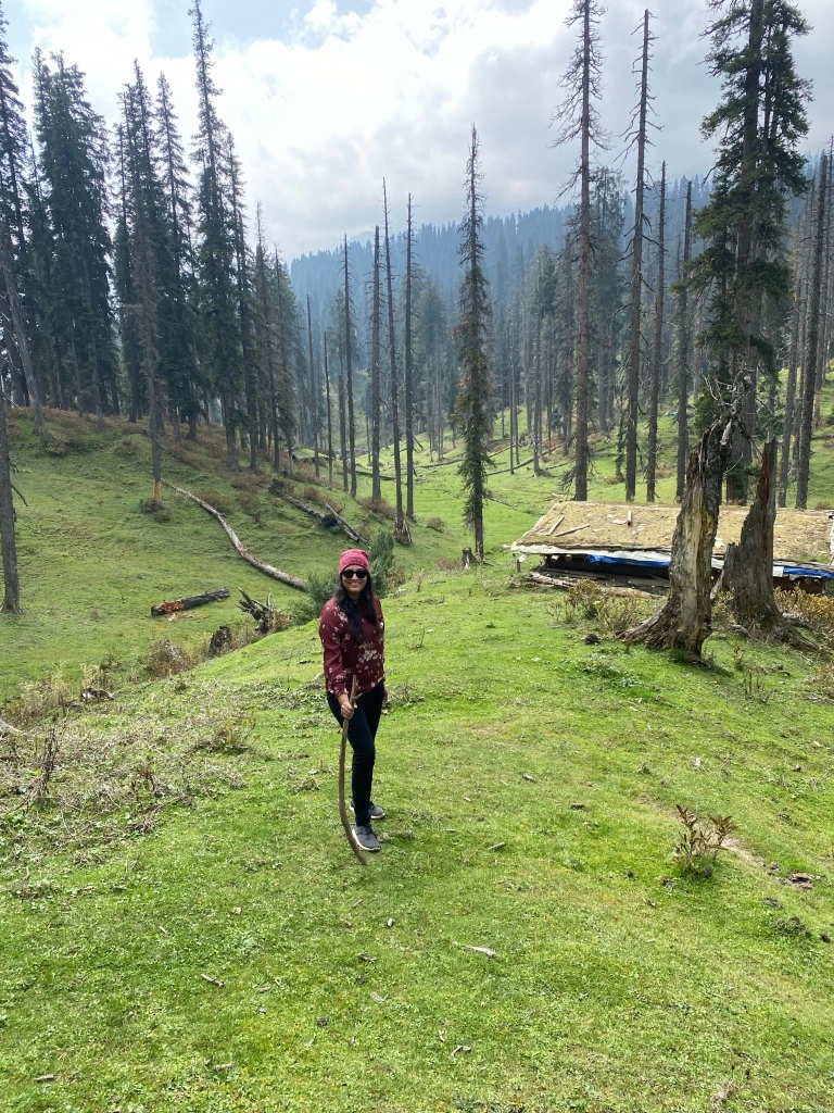 Photo of Srinagar to Gulmarg - A day trip itinerary by Geetha Ranganathan