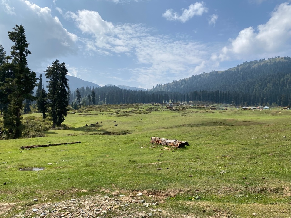 Photo of Srinagar to Gulmarg - A day trip itinerary by Geetha Ranganathan