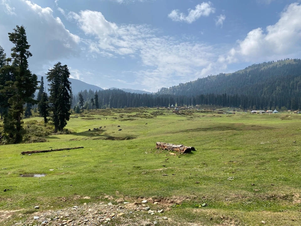 Photo of Srinagar to Gulmarg - A day trip itinerary by Geetha Ranganathan