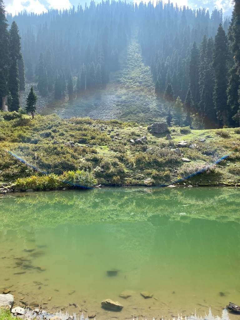 Photo of Srinagar to Gulmarg - A day trip itinerary by Geetha Ranganathan