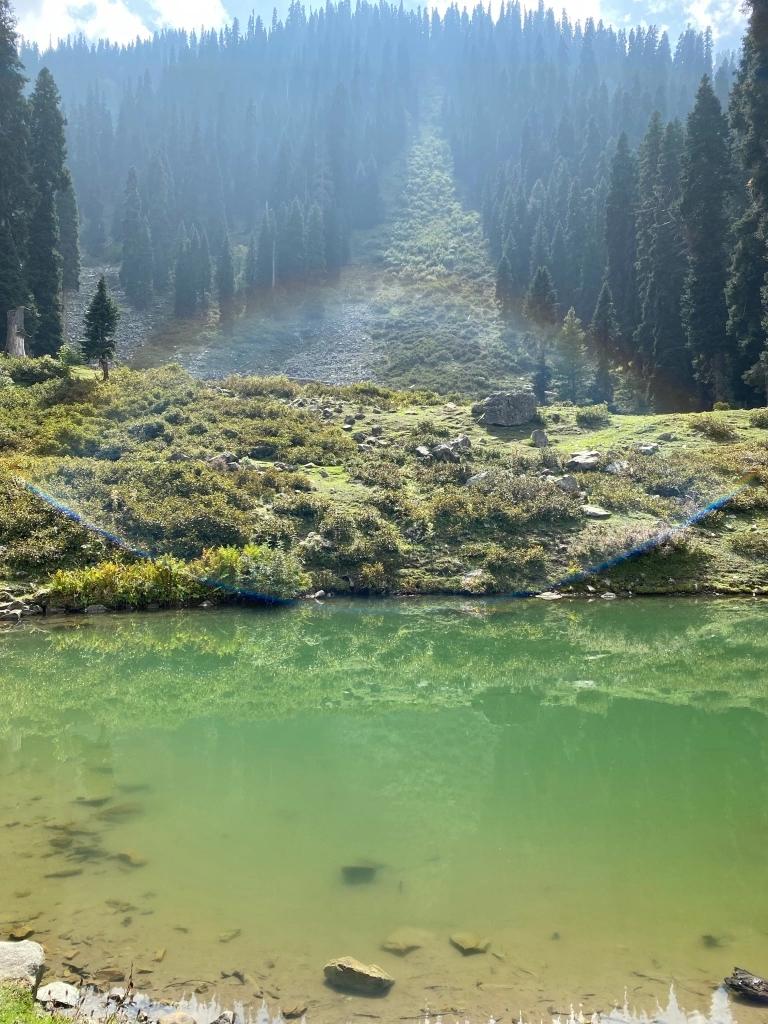 Photo of Srinagar to Gulmarg - A day trip itinerary by Geetha Ranganathan