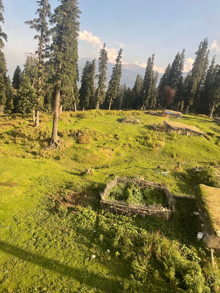 Photo of Srinagar to Gulmarg - A day trip itinerary by Geetha Ranganathan